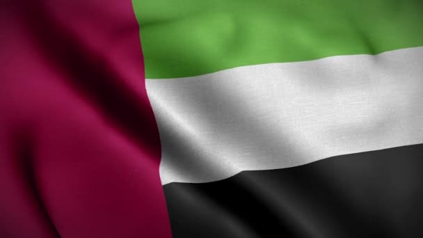 Flag United Arab Emirates Loop — Stock Video