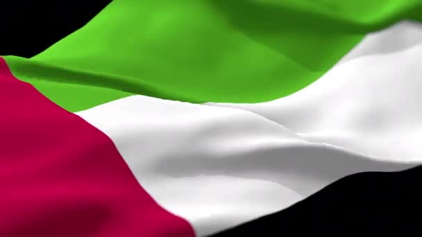 Bandiera Degli Emirati Arabi Uniti Loop Alpha — Video Stock