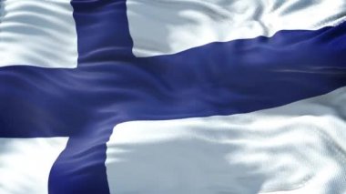 Finlandiya Bayrağı 3d Döngü