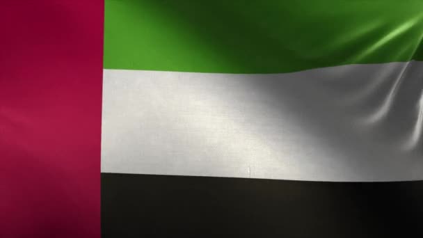 アラブ首長国連邦ループの旗 — ストック動画