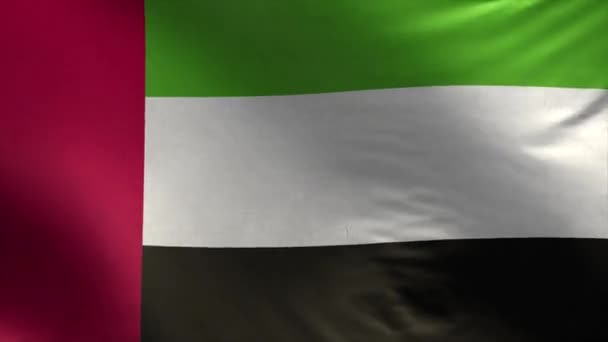 Vlag Van Verenigde Arabische Emiraten Loop — Stockvideo