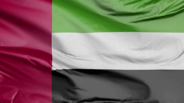 Vlag Van Verenigde Arabische Emiraten — Stockvideo