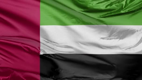 Vlajka Spojených Arabských Emirátů — Stock video