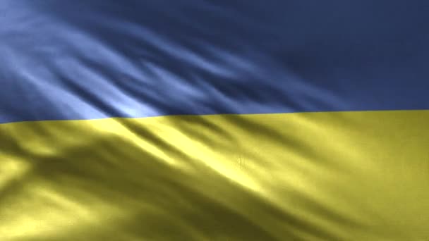 Flagge Der Ukraine — Stockvideo