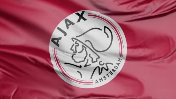 Ajax Realistic 3D国旗 — 图库视频影像