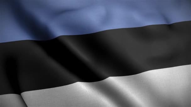爱沙尼亚国旗第3D环 — 图库视频影像