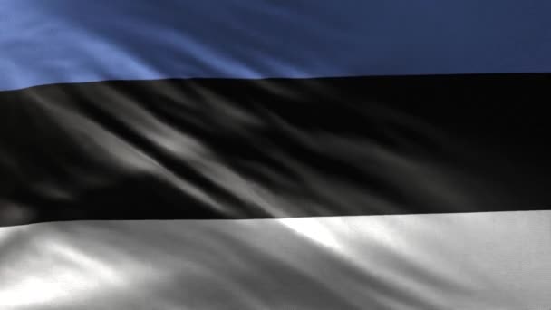 Flag Estonia Loop — Stock Video