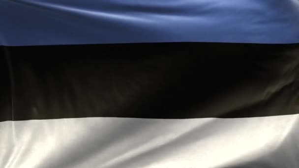 Bandera Estonia Loop — Vídeos de Stock