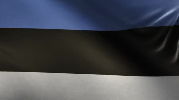 Bandera Estonia Loop — Vídeos de Stock