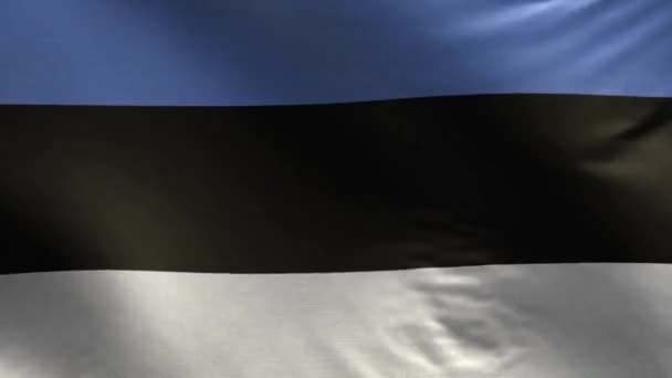 Vlag Van Estland Loop — Stockvideo