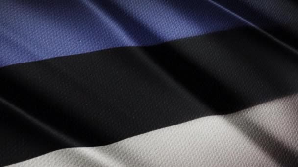 Bandera Estonia Realista — Vídeos de Stock