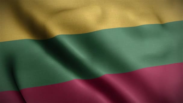 Flag Lithuania Loop — стокове відео