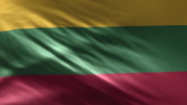 Drapeau de Lituanie Boucle 3D 