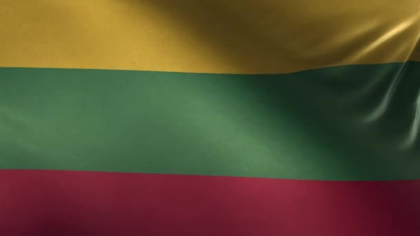 Bandeira Lituânia Loop — Vídeo de Stock