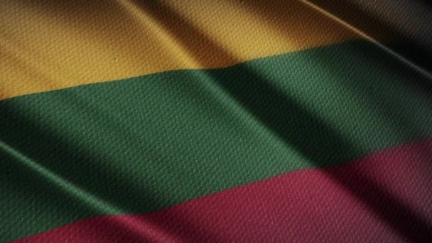 Bandera Lituania Realista — Vídeo de stock