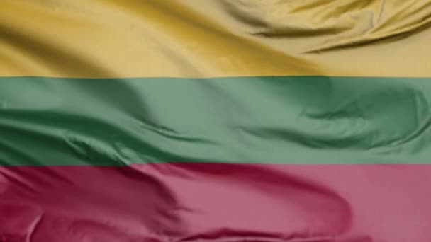 Bandera Lituania Realista — Vídeo de stock