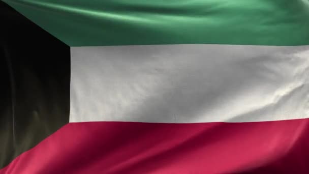 Vlajka Kuvajtu Smyčka — Stock video