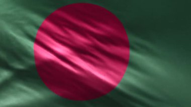 Bangladeş Bayrağı