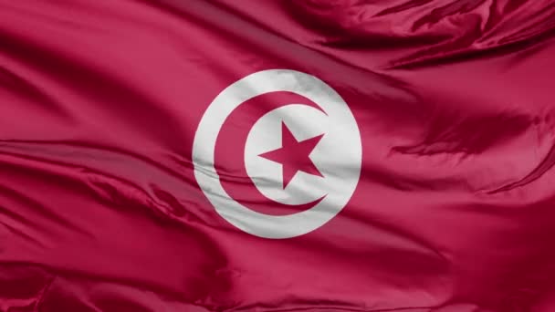 Flag Tunisia Loop — Stock video