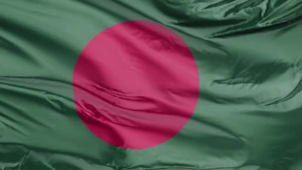 Vlag Van Bangladesh Loop — Stockvideo