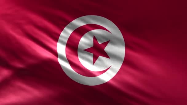 Drapeau Tunisie Loop — Video