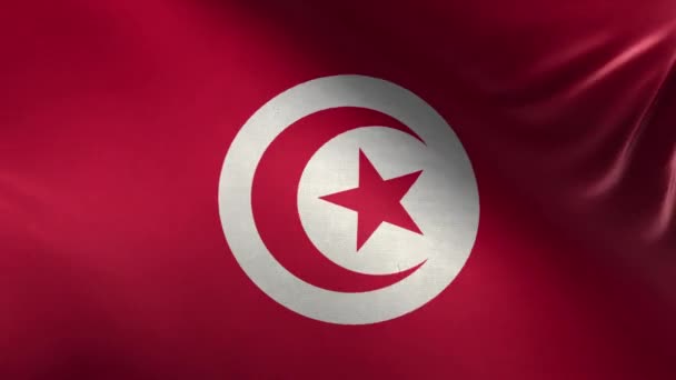 Bandeira Tunísia Loop — Vídeo de Stock