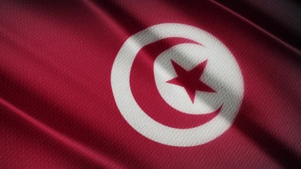 Flag Tunisia Loop — Stock video