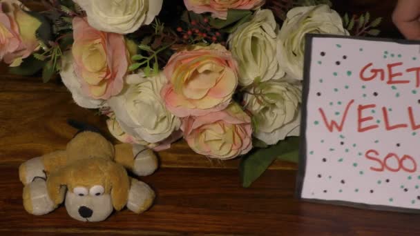 Get Well Soon Card Dots Flowers Soft Toy Dog Floor — Stock Video