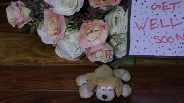 Get Well Soon Card Flowers Small Soft Toy Dog — Stock Video