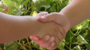 İki kadın çiçek ve yeşil bitkilerle el sıkışıyor ve onu sergiliyor..