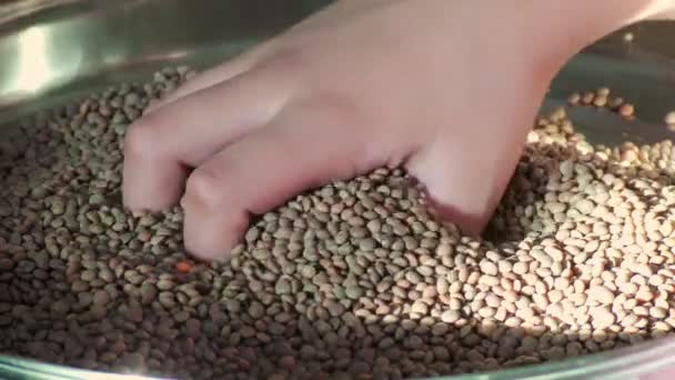 Uma Mão Está Mostrando Lentilha Masoor Pulso Dal Legume Heap — Vídeo de Stock