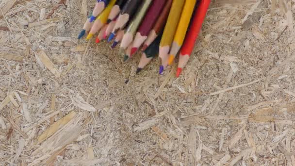 粗冲浪板上的彩色铅笔 并展示它 — 图库视频影像