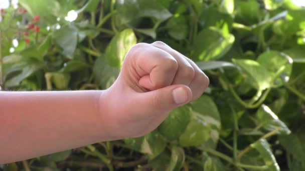 Girl Making Gesture Fingers Hand Okay Displaying — Stock Video