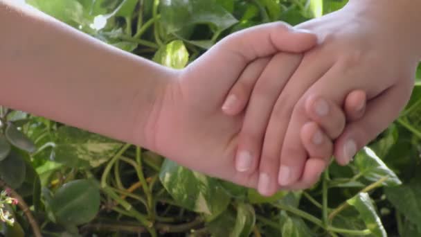 Holding Hand Each Other Background Plants Displaying — Stock Video