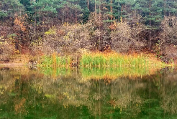 Herbstliche Wasserspiegelung Bergsee — Stockfoto