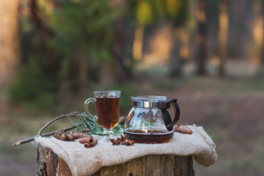 Ormanın dışında cam bir çaydanlıkta demlenmiş siyah çay. Tarçın çubukları, anason ve ladin kozalakları ile doğal ışık altında.