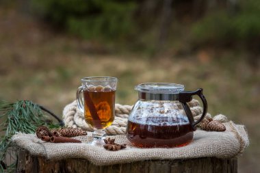 Ormanın dışında cam bir çaydanlıkta demlenmiş siyah çay. Tarçın çubukları, anason ve ladin kozalakları ile doğal ışık altında.