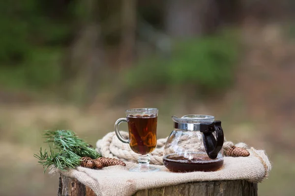森の屋外のガラスのティーポットで美しく醸造された黒茶は シナモンスティック アニスとトウヒコーンと自然光で — ストック写真