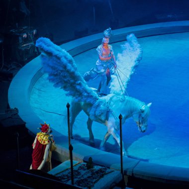 Saint-Petersburg, Rusya-8 Ocak 2017: Sirk performans - kehanet Dream - - bir parçası görünümünün.