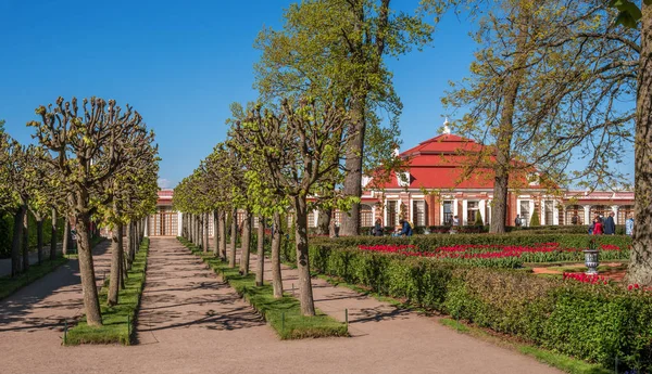 Petergof, Russia - 5 giugno 2017: giardino cinese nel complesso termale. Il parco inferiore del Peterhof Palace. San Pietroburgo . — Foto Stock