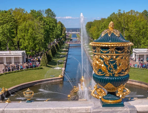 Petergof, Rusia - 5 de junio de 2017: La Gran Cascada y la Fuente Sansón en el Palacio de Gran Peterhof. Estos palacios y jardines a veces se conocen como el Versalles ruso -. — Foto de Stock