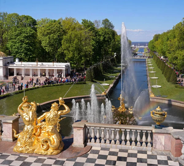 Petergof, Rusia - 5 de junio de 2017: La Gran Cascada y la Fuente Sansón en el Palacio de Gran Peterhof. Estos palacios y jardines a veces se conocen como el Versalles ruso -. — Foto de Stock