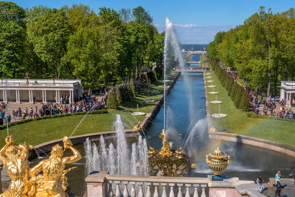 Petergof, Rússia - 5 de junho de 2017: The Grand Cascade and Samson Fountain at the Grand Peterhof Palace. Estes palácios e jardins são por vezes referidos como o Versalhes russo- -. — Fotografia de Stock