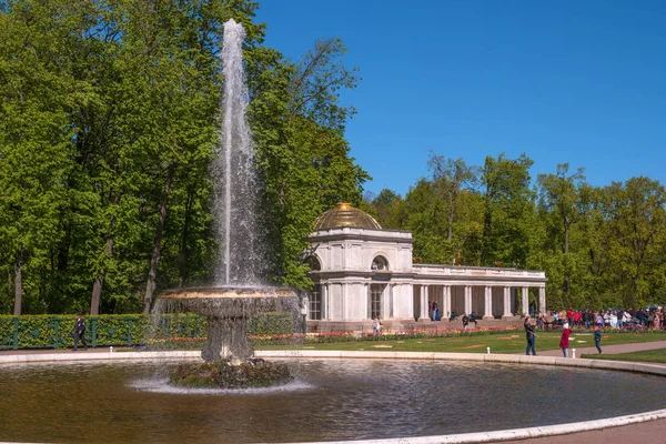 Petergof, 러시아-6 월 5 일, 2017: Voronikhinsky Pertergof 궁전에서 열 주. Unescos 세계 문화 유산 목록에 포함 된 Petergof 궁전. — 스톡 사진