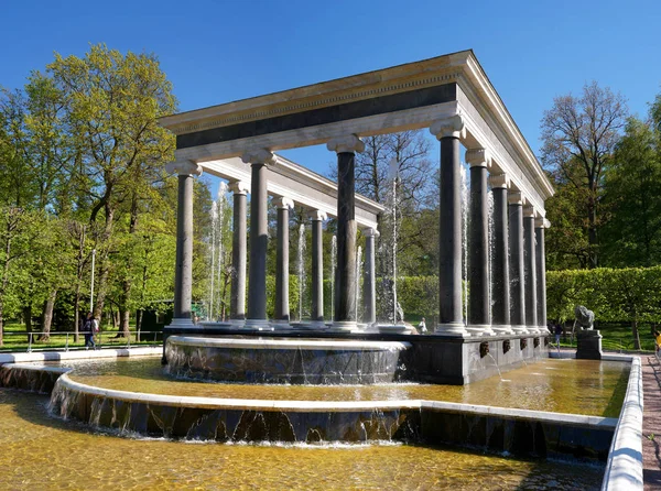 Lion Kaskádová fontána. Je to bazén s vodopádem římsy z pudost kamene, zdobí dvě bronzové sochy lvů stráž odevzdaných podle I. Prokofievs modelu. Petergof, Rusko. — Stock fotografie