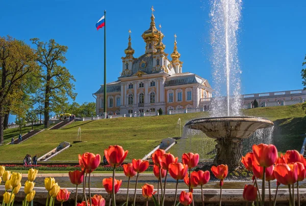 Petergof, Rússia - 5 de junho de 2017: Igreja de Pedro e Paulo. A Igreja do Palácio. As flores estão em primeiro plano. Na parte de trás há uma igreja, uma bandeira e uma fonte. . — Fotografia de Stock