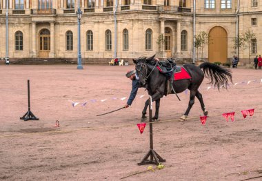 Gatchina, St. Petersburg, Rusya Federasyonu - 30 Eylül 2017: Sirk atı Kazaklar Gatchina Palace tören üzerinde İmparator Paul yıldönümü Rezervasyonun yapıldığı gün ben.