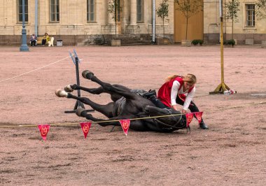 Gatchina, St. Petersburg, Rusya Federasyonu - 30 Eylül 2017: Sirk atı Kazaklar Gatchina Palace tören üzerinde İmparator Paul yıldönümü Rezervasyonun yapıldığı gün ben.