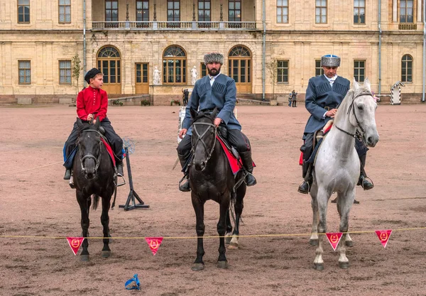 Gatchina, St. Petersburg, Rusya Federasyonu - 30 Eylül 2017: Sirk atı Kazaklar Gatchina Palace tören üzerinde İmparator Paul yıldönümü Rezervasyonun yapıldığı gün ben.