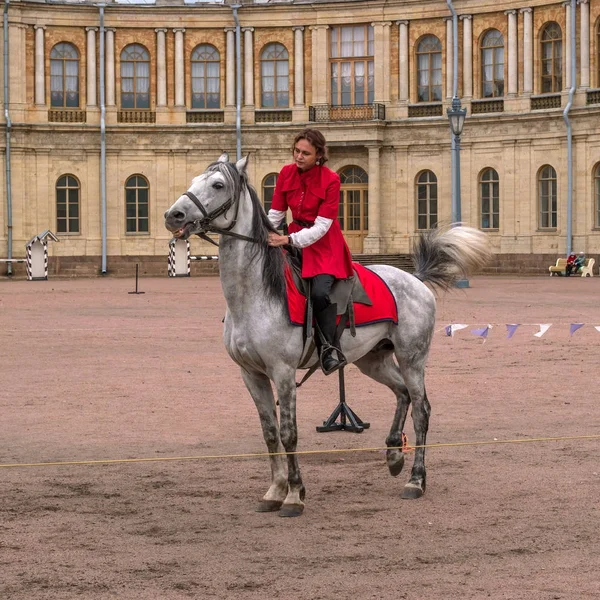 Gatchina, St. Petersburg, Rusya Federasyonu - 30 Eylül 2017: Sirk atı Kazaklar Gatchina Palace tören üzerinde İmparator Paul yıldönümü Rezervasyonun yapıldığı gün ben.